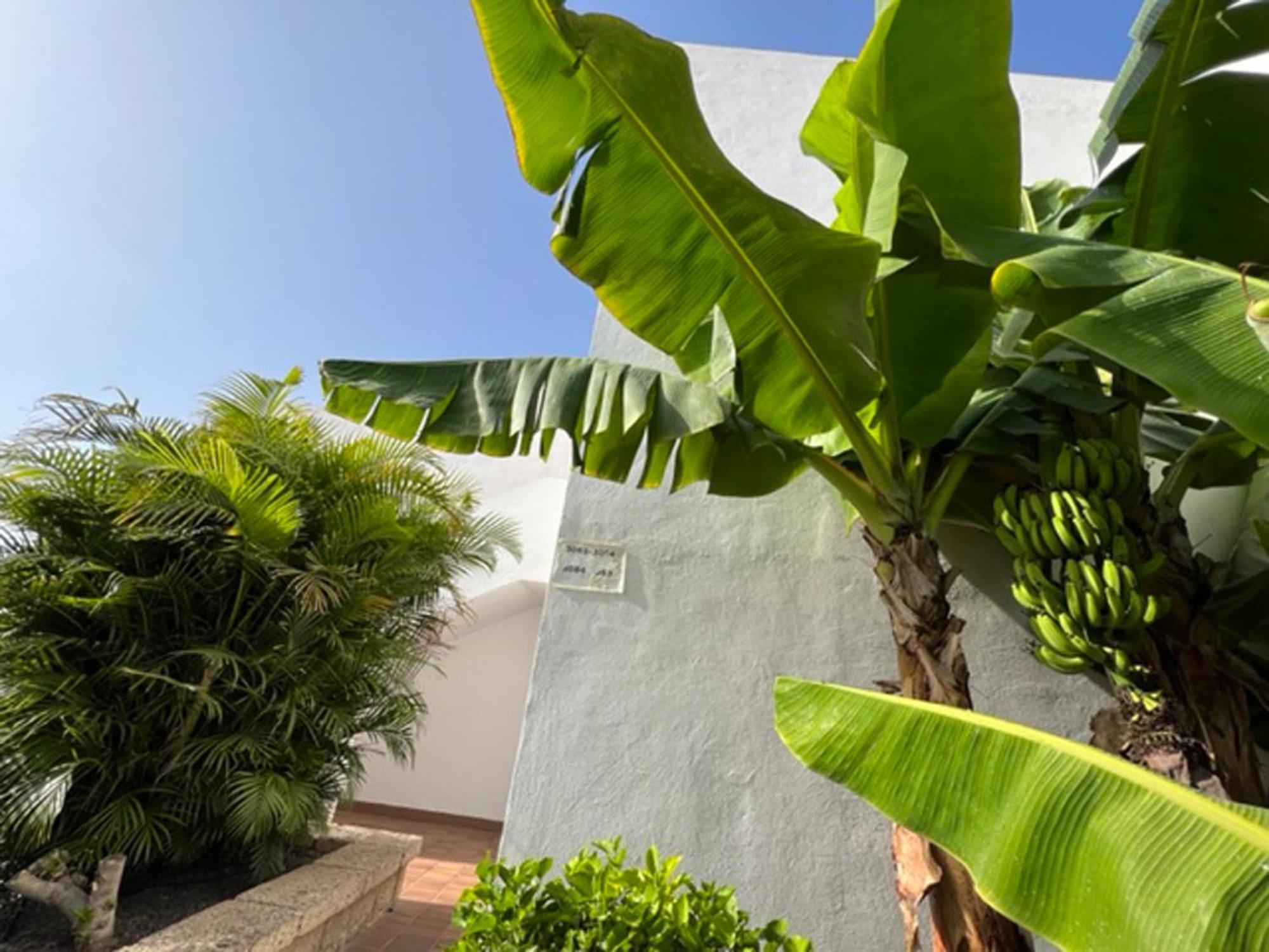 Apartament Malibu Blue Costa Adeje  Exterior foto